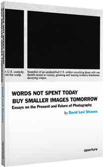 David Levi Strauss: Words Not Spent Today Buy Smaller Images Tomorrow