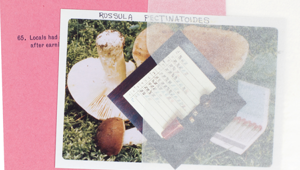 PBR8_194
