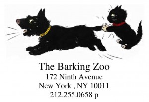 dogcatwaddress