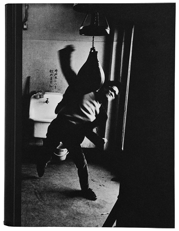 Diane Dufour and Matthew Witkovsky, eds., Provoke: Between Protest and Performance, Photography in Japan 1960–1975, Steidl, Göttingen, Germany, 2016