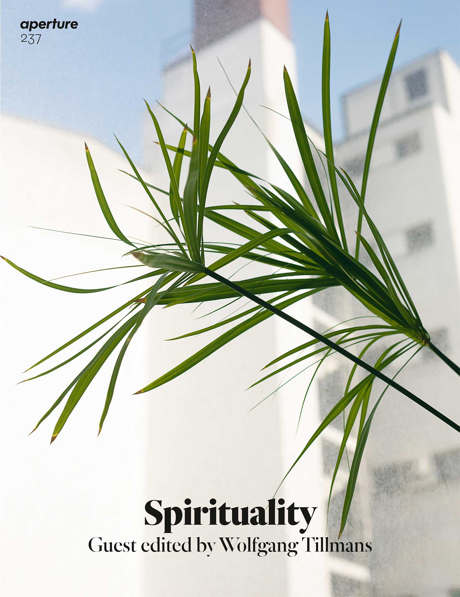 Wolfgang Tillmans, Flatsedge, 2019