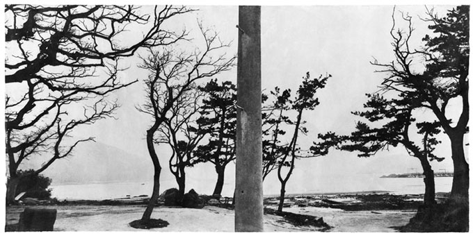 A black and white photograph of trees. Jungjin Lee, Wind