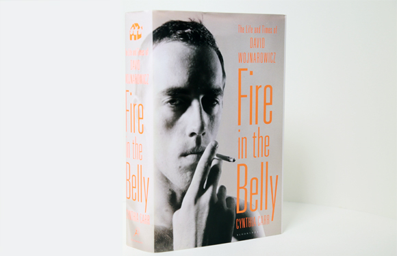 The Life and Times of David Wojnarowicz: Fire in the Belly by Cynthia Carr