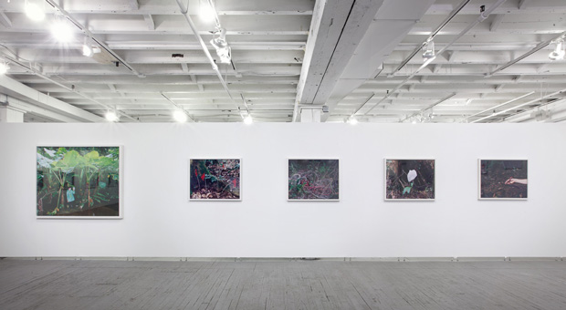 Sanna Kannisto's Fieldwork exhibition at Aperture Gallery