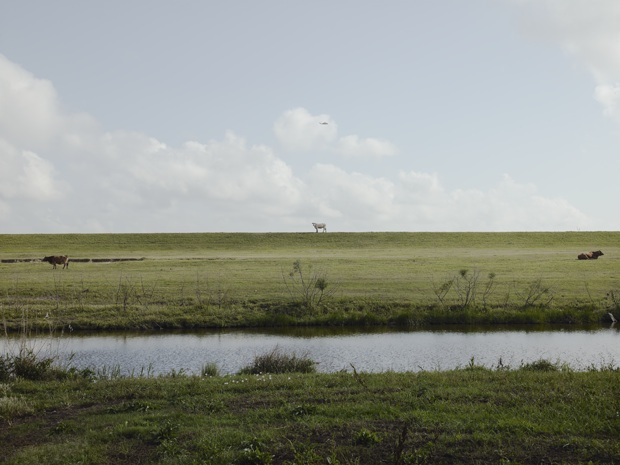 Helicopter Returning from Deepwater Horizon Spill, Venice, Louisiana, 2010; color photograph