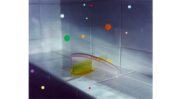 color photograph