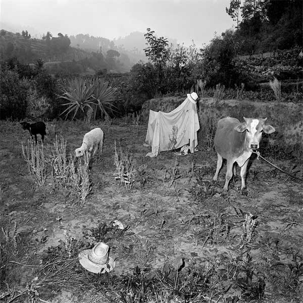 Untitled, Guatemala, 1979, from the series Landscapes