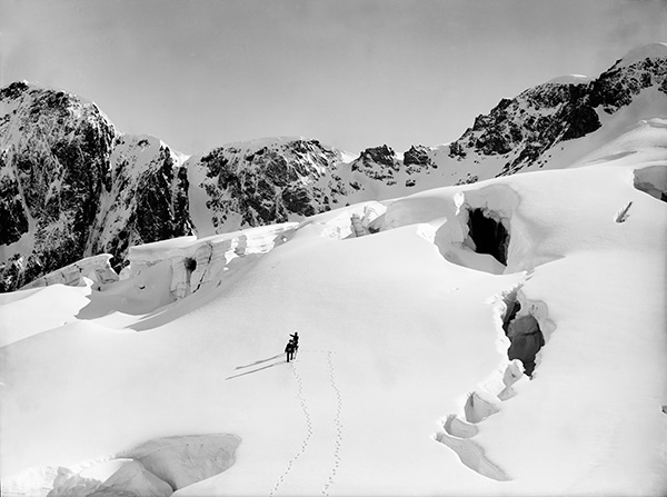 Higher Ground - Aperture Foundation NY