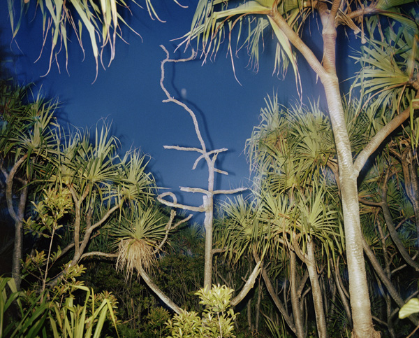 Richard Misrach Untitled (Hawaii XV), 1978 © the artist and courtesy Fraenkel Gallery, San Francisco, Hanya Yanagihara