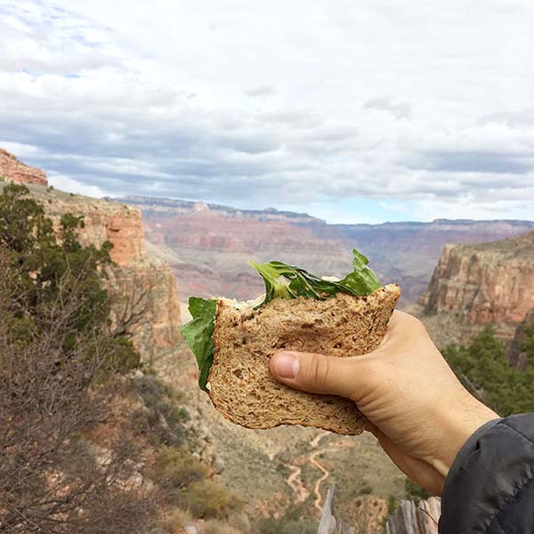 Jeremy Friedland (@jsfried), Adventure Sandwich, Grand Canyon National Park, 2015 © the artist