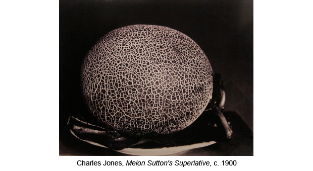 Feast for the Eyes: The Story of Food in Photography book pdf