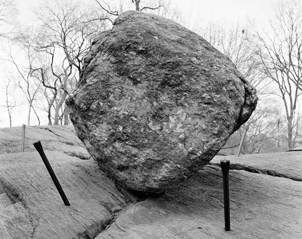 Mitch Epstein, Central Park, New York II, 2014Courtesy the artist and Yancey Richardson Gallery