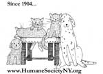 hsny-logo-with-web-high-res-since-1904
