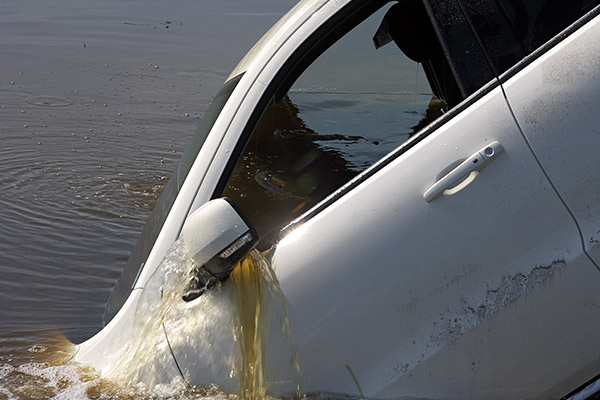 Roe Ethridge, Durango in the Canal, Belle Glade, FL, 2011 Courtesy the artist and Contemporary Arts Center, Cincinnati