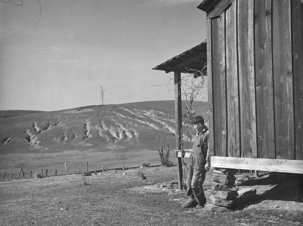 Arthur Rothstein, Eroded land on tenant's farm, Walker County, Alabama, 1937