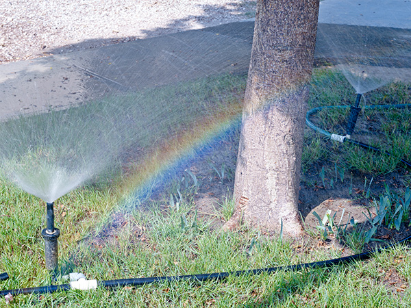 Ayesha Malik, Sprinkler rainbow on Tarut Drive, October 20, 2016 © the artist 