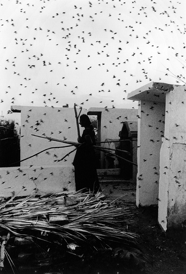 Graciela Iturbide, Cemetery, Juchitán, Mexico, 1988 © the artist 