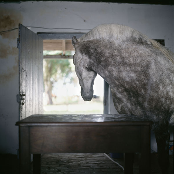 Alessandra Sanguinetti, Buenos Aires, Argentina, 2001. © Alessandra Sanguinetti/Magnum Photos