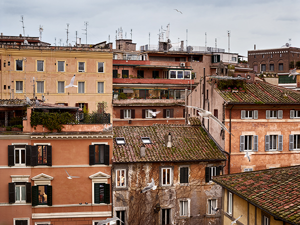 Gail Albert Halaban, Birds, Piazza dei Ponziani, Rome 