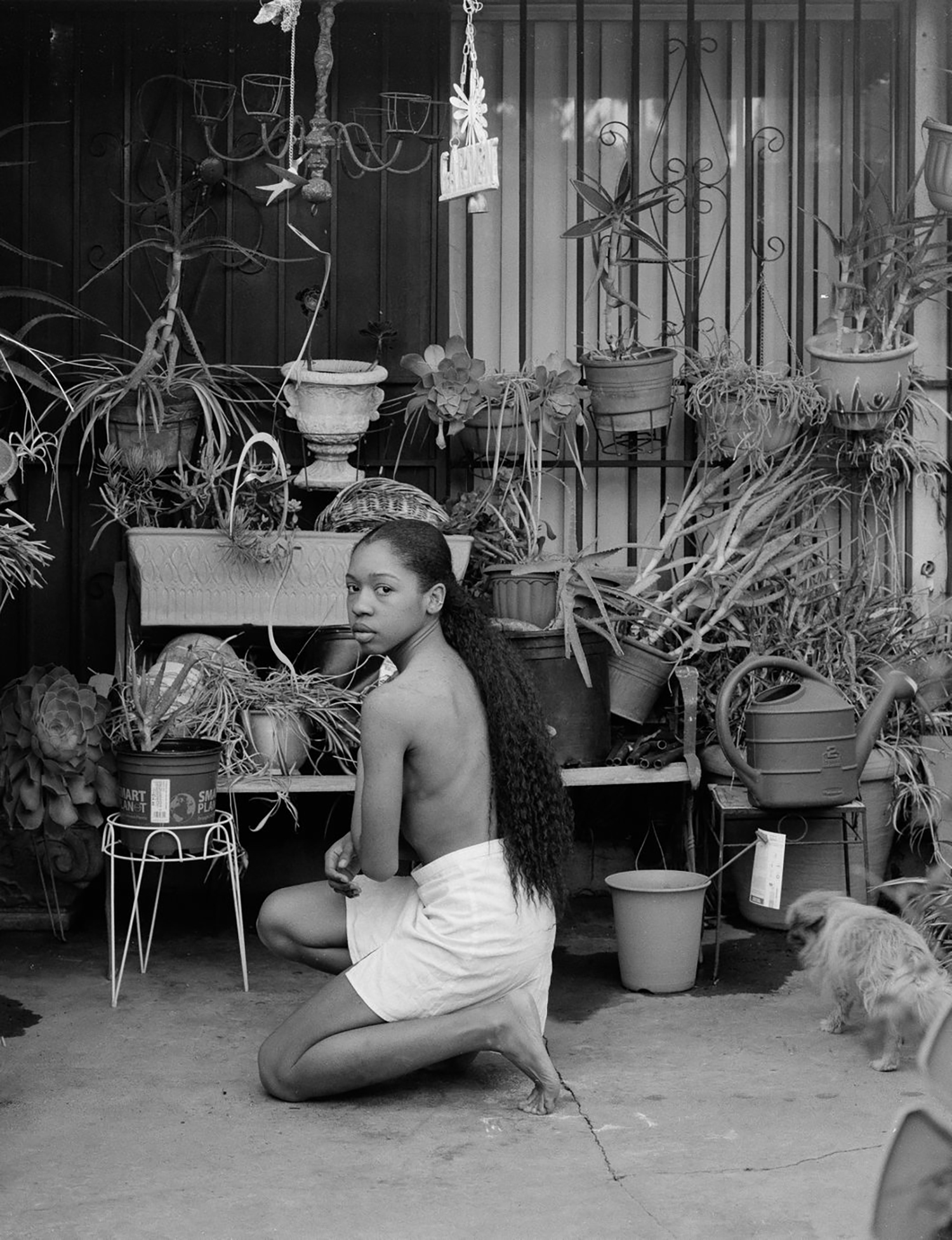 Chanell Stone from the series Natura Negra