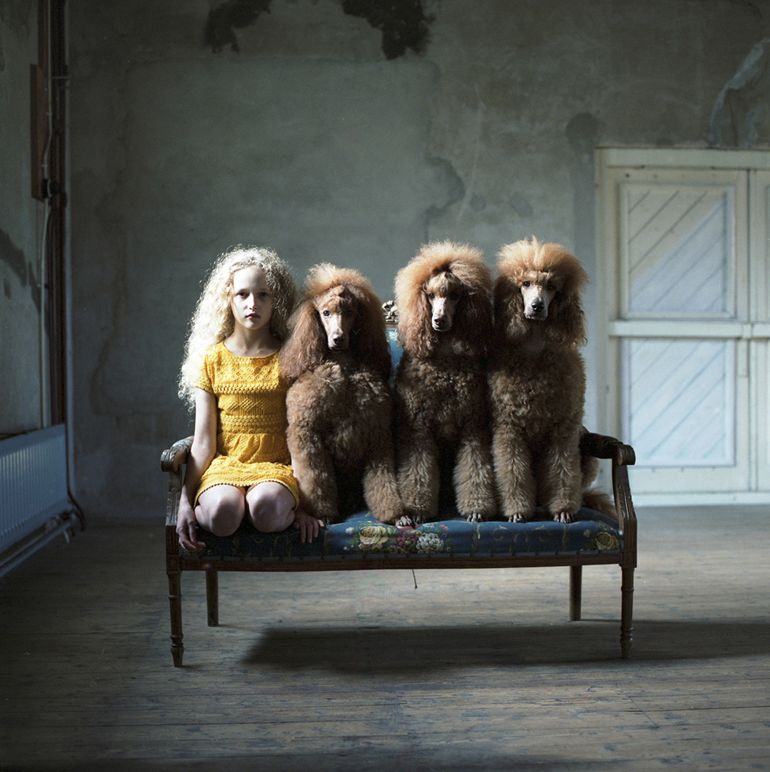 Hellen van Meene, color portrait of girl next to three dogs