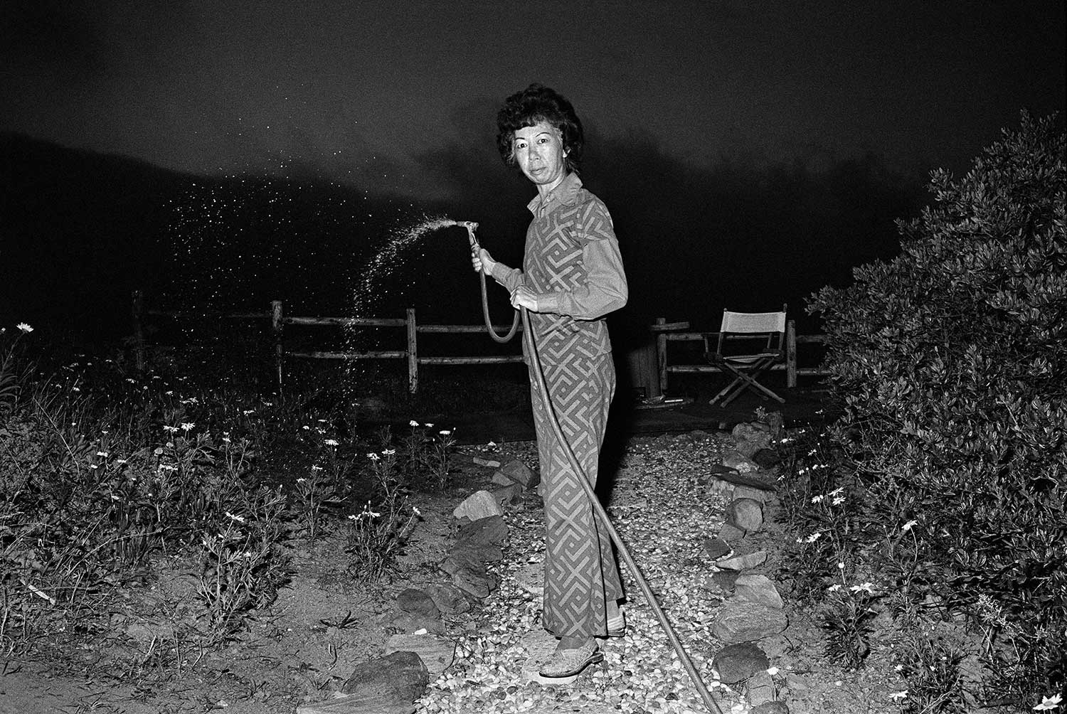 Michael Jang, Lucy Watering at Night, 1973