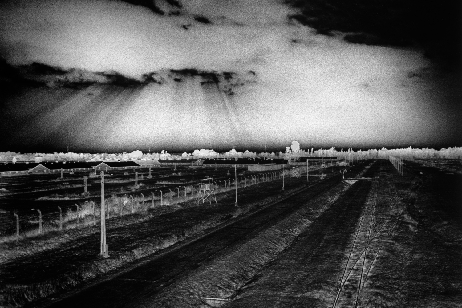 Judy Glickman Lauder: Beyond the Shadows at Peter Fetterman Gallery