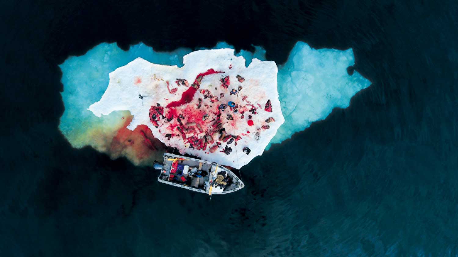 Robert Kautuk, Walrus hunt near Igloolik, Nunavut, Canada, July 22, 2016