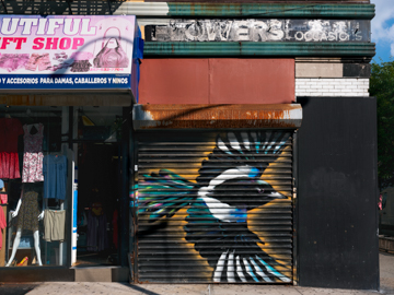 Member Preview of Audubon Mural Project: Photographs by Gail Albert Halaban