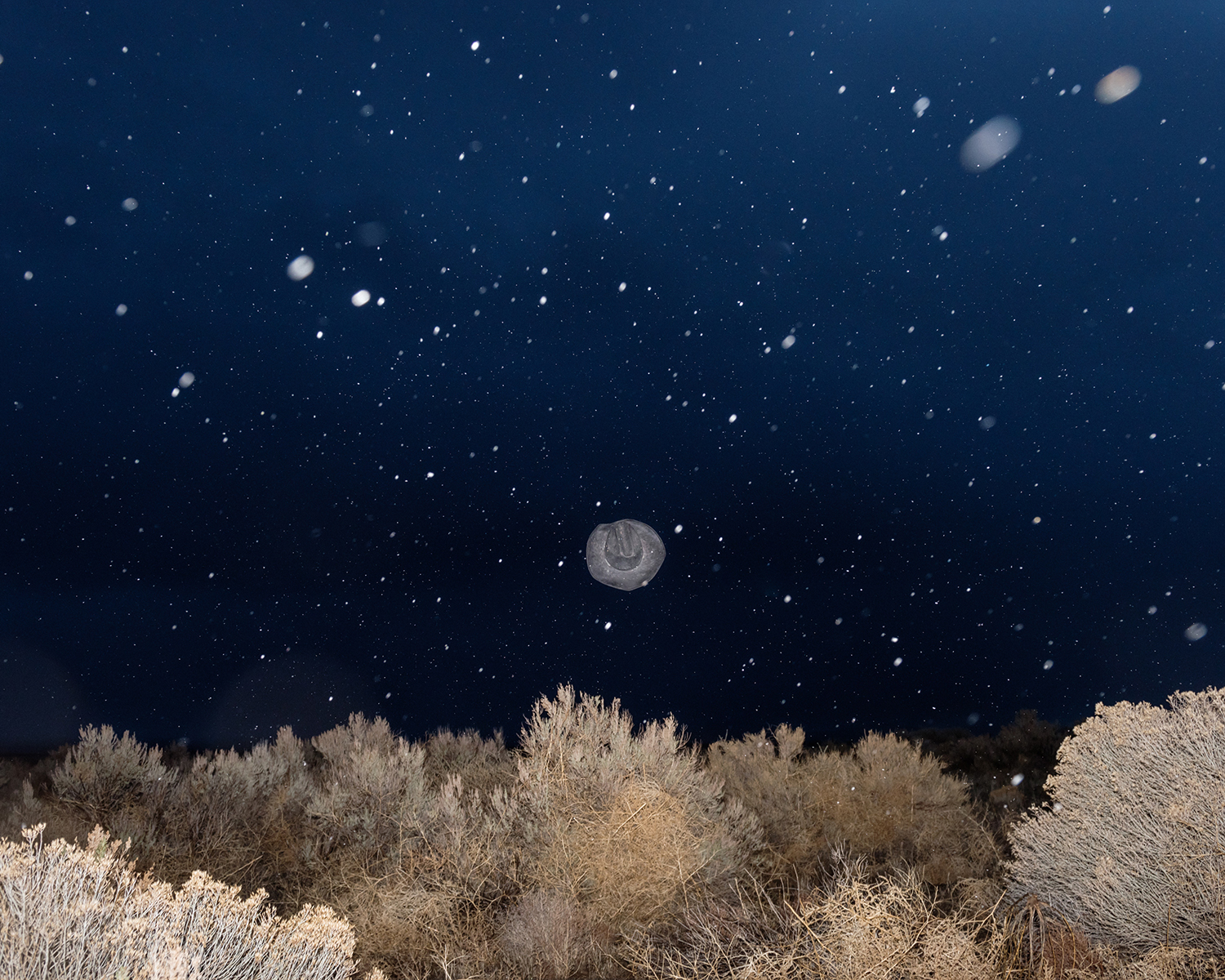 Color photograph of cowboy hat mid-air at night