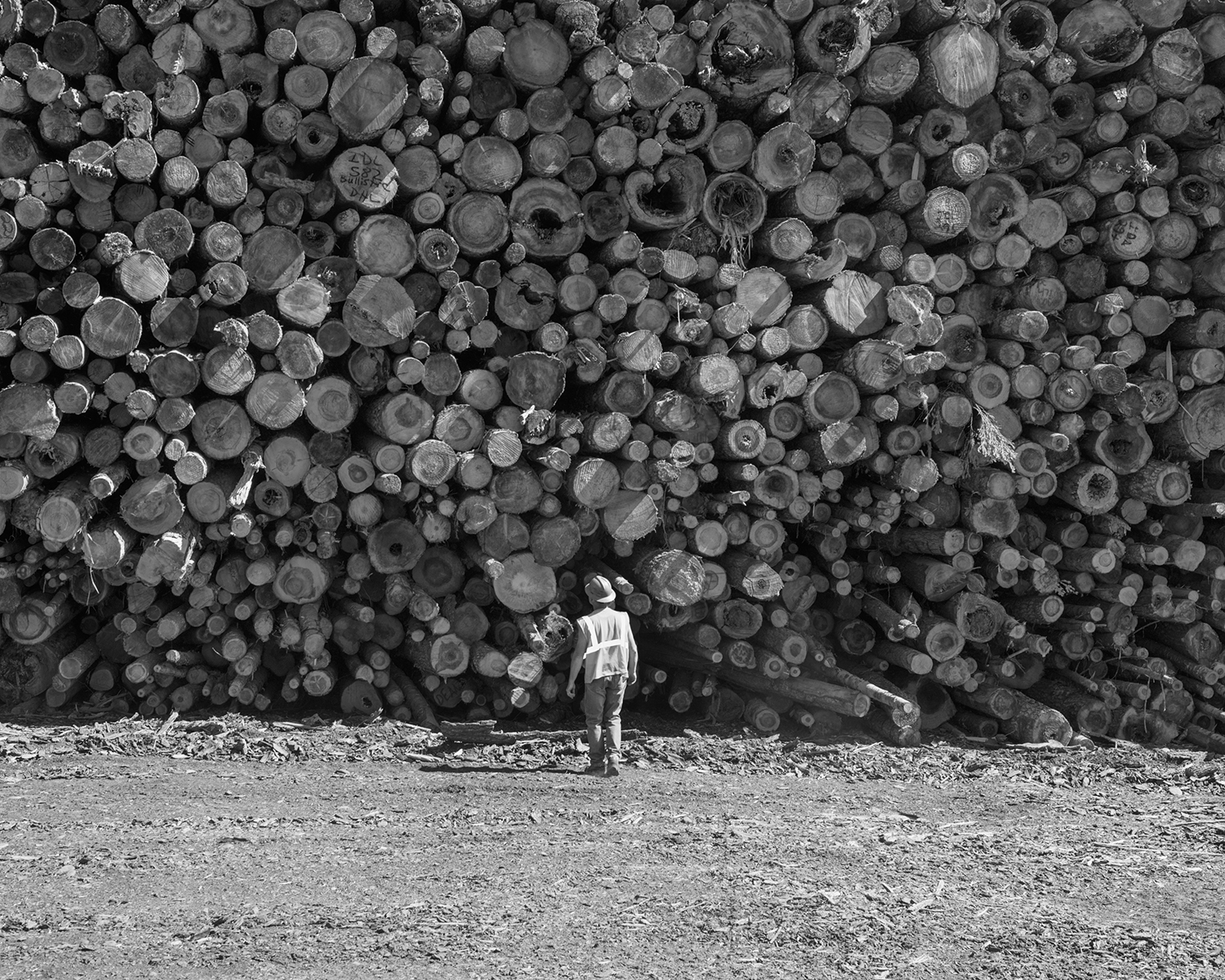 Black and white photo of man and lumber