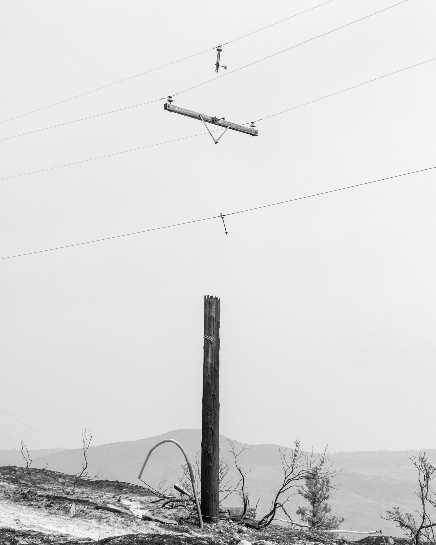 Black and white photograph of electric pole