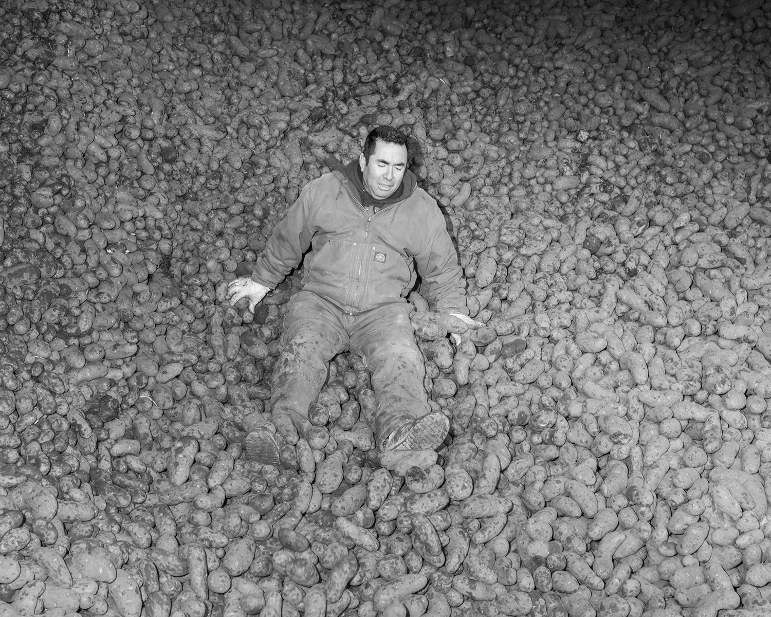 Black and photograph of man on pile of potatoes