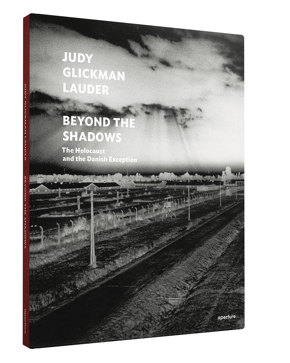 Cover, Judy Glickman Lauder, Beyond the Shadows