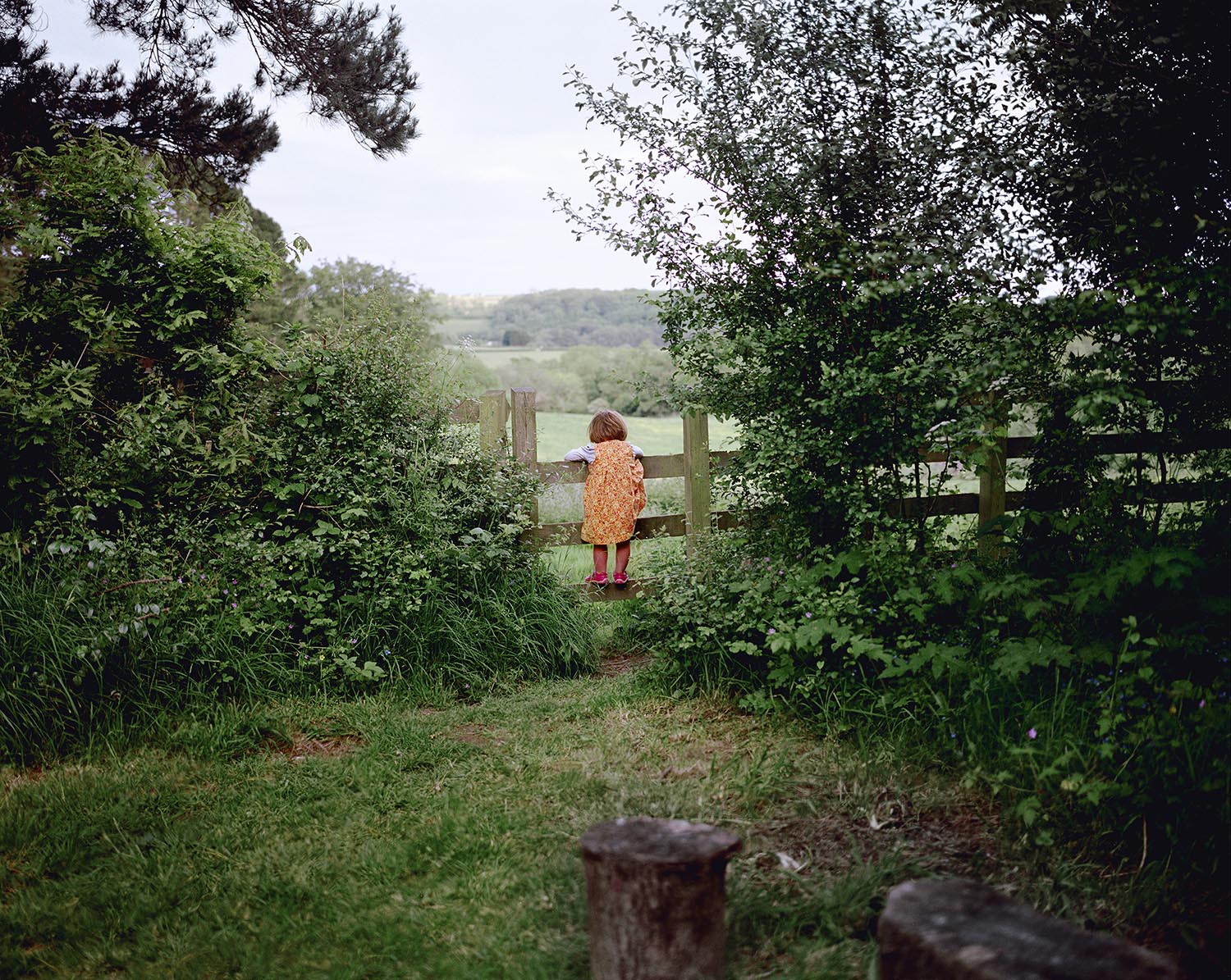 A young girl in a yellow dress stands at a garden gate, surrounded by lush foliage