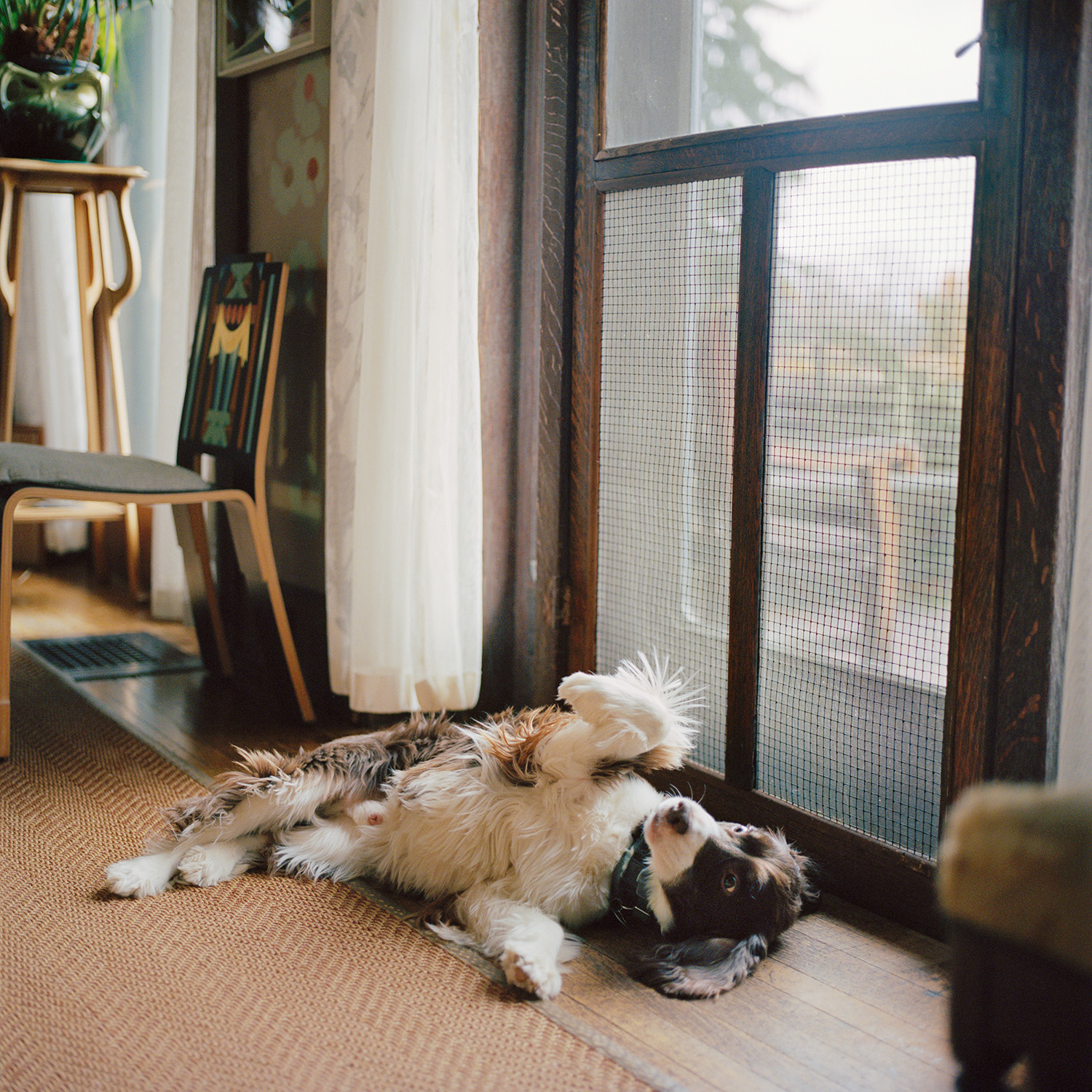 Jason Fulford, Denise Scott Brown’s house, Philadelphia, 2019