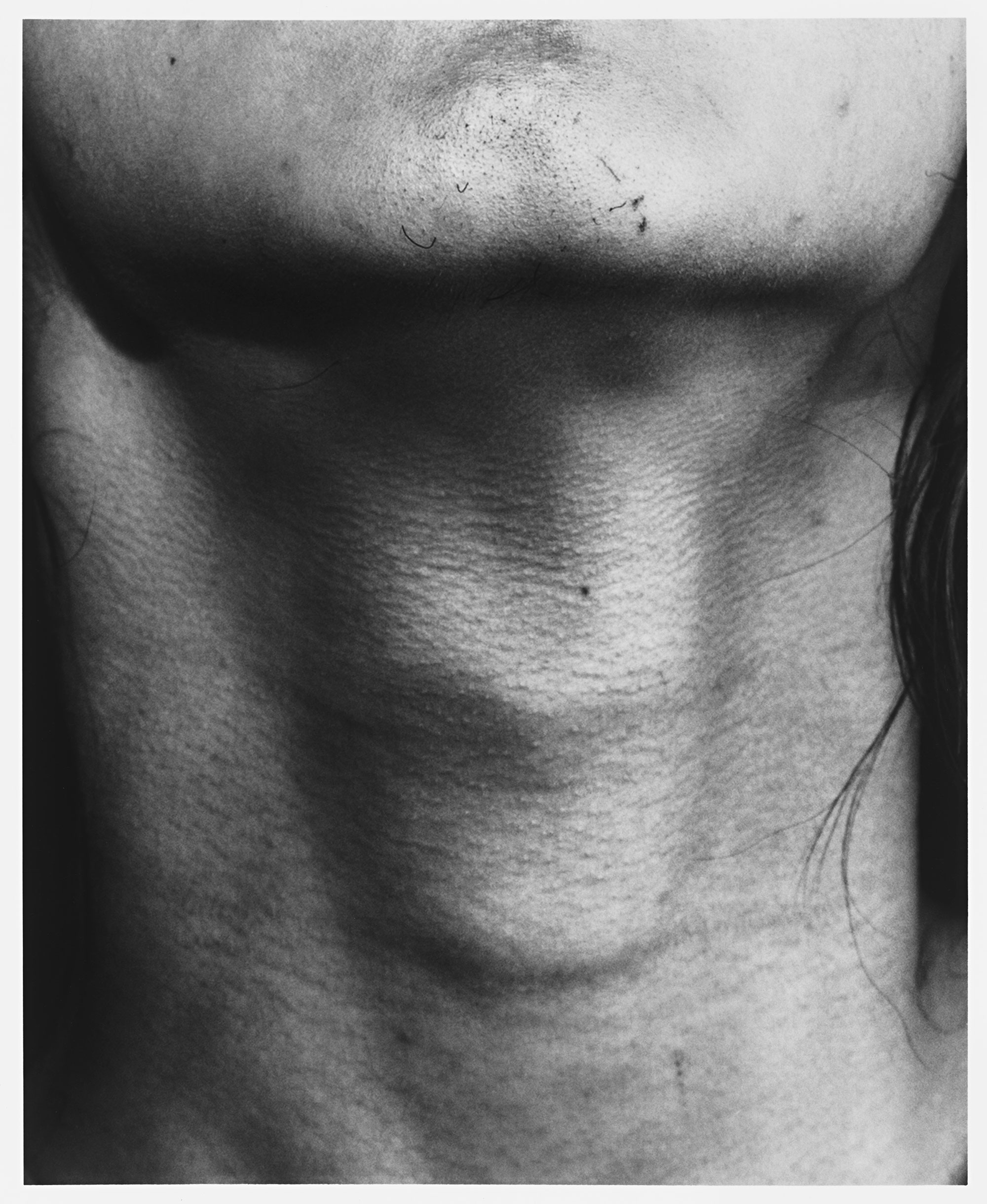 Sam Contis, Untitled (Neck), 2015