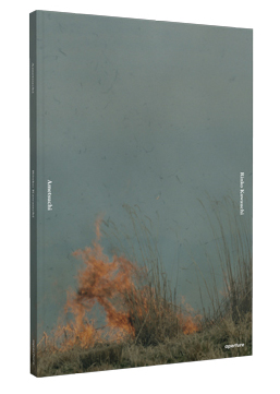 Ametsuchi_Cover_3D2