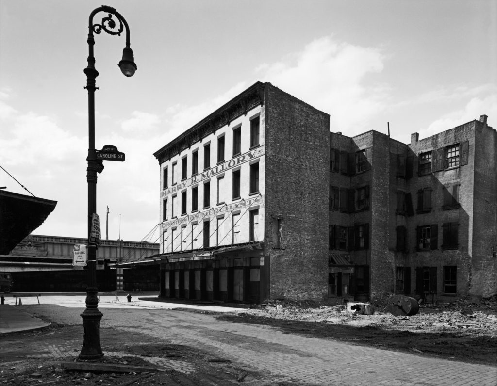 Danny Lyon, The Destruction of Lower Manhattan