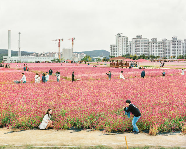 Can Photographs Provide Information When Truth Is Disrupted?