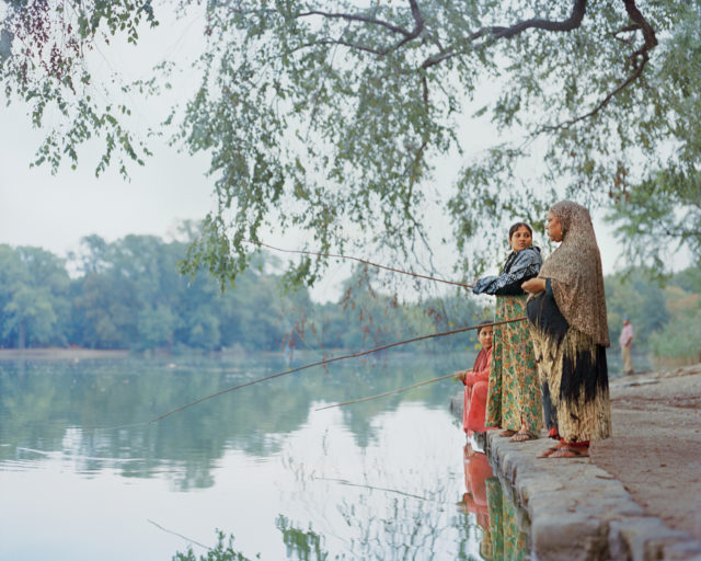 Irina Rozovsky's Majestic Photographs of Prospect Park