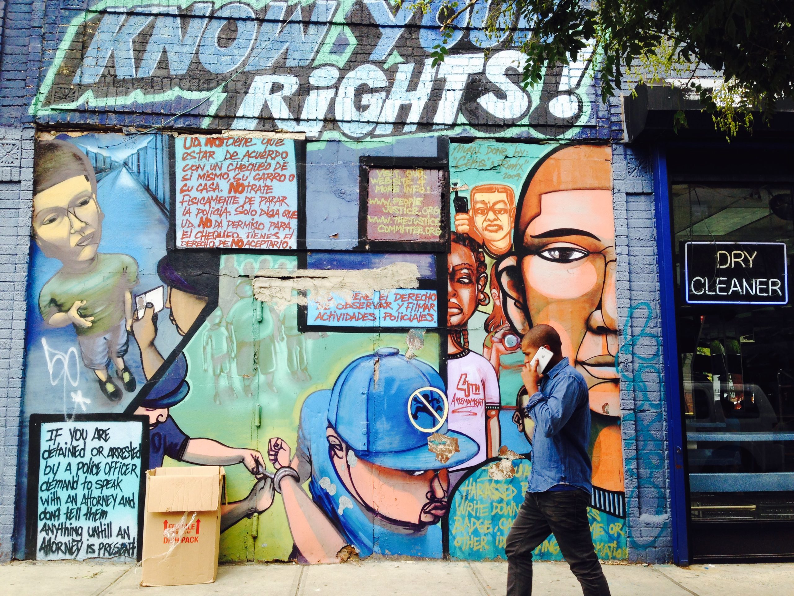 The Impact Of Sage Daviss Murals On Social Change - nfle44w