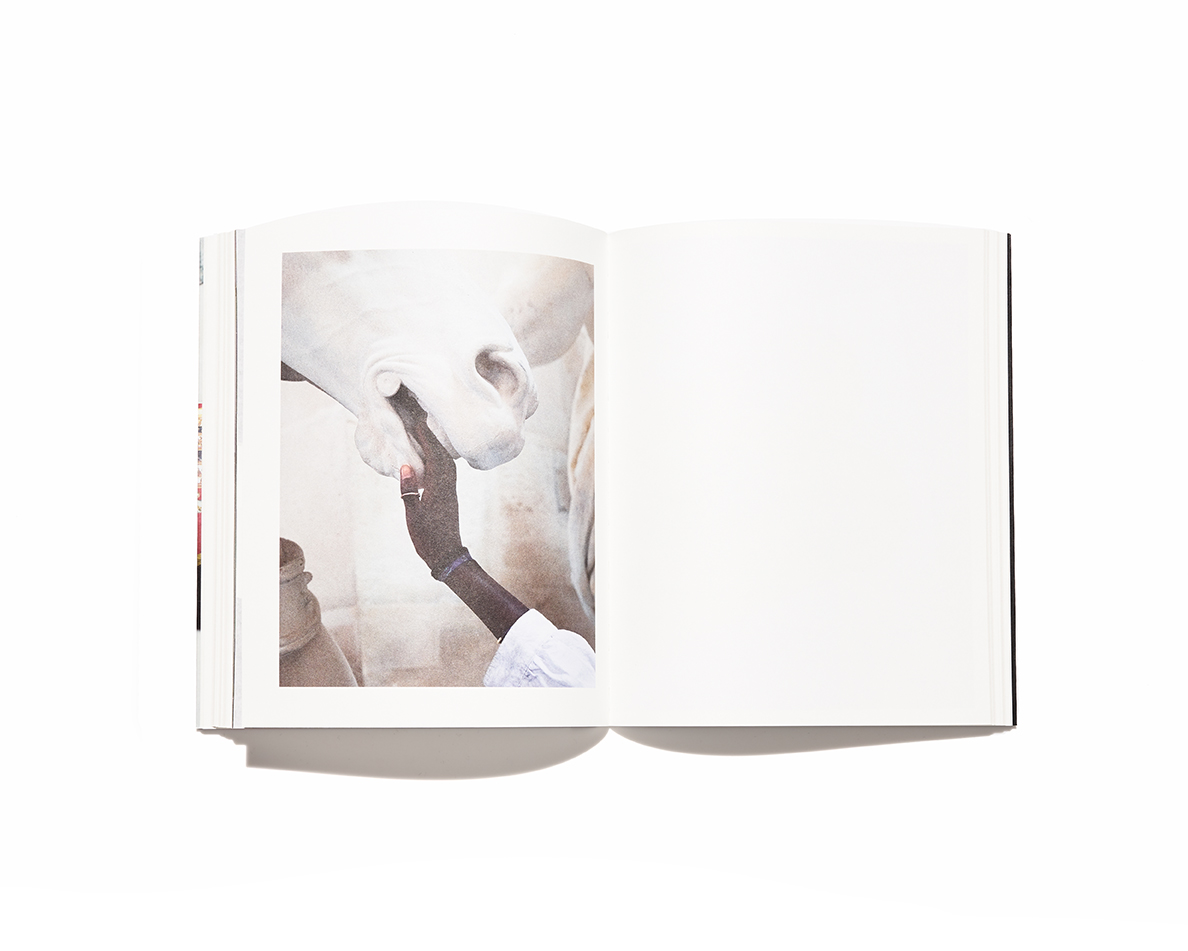 Viviane Sassen: Umbra by Viviane Sassen: New Soft cover (2015) 1st Edition