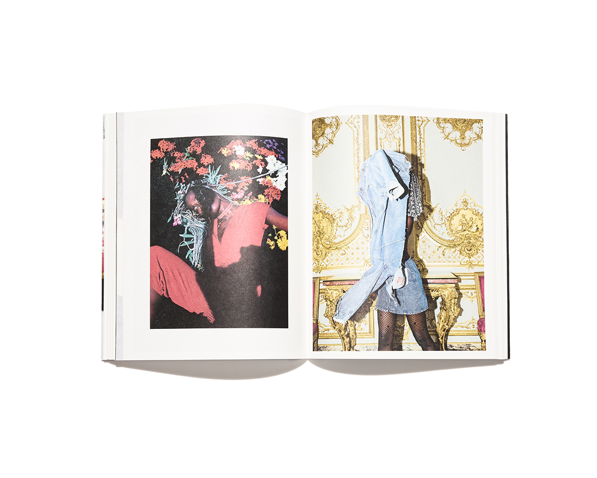 Buy Viviane Sassen: In and Out of Fashion Book Online at Low