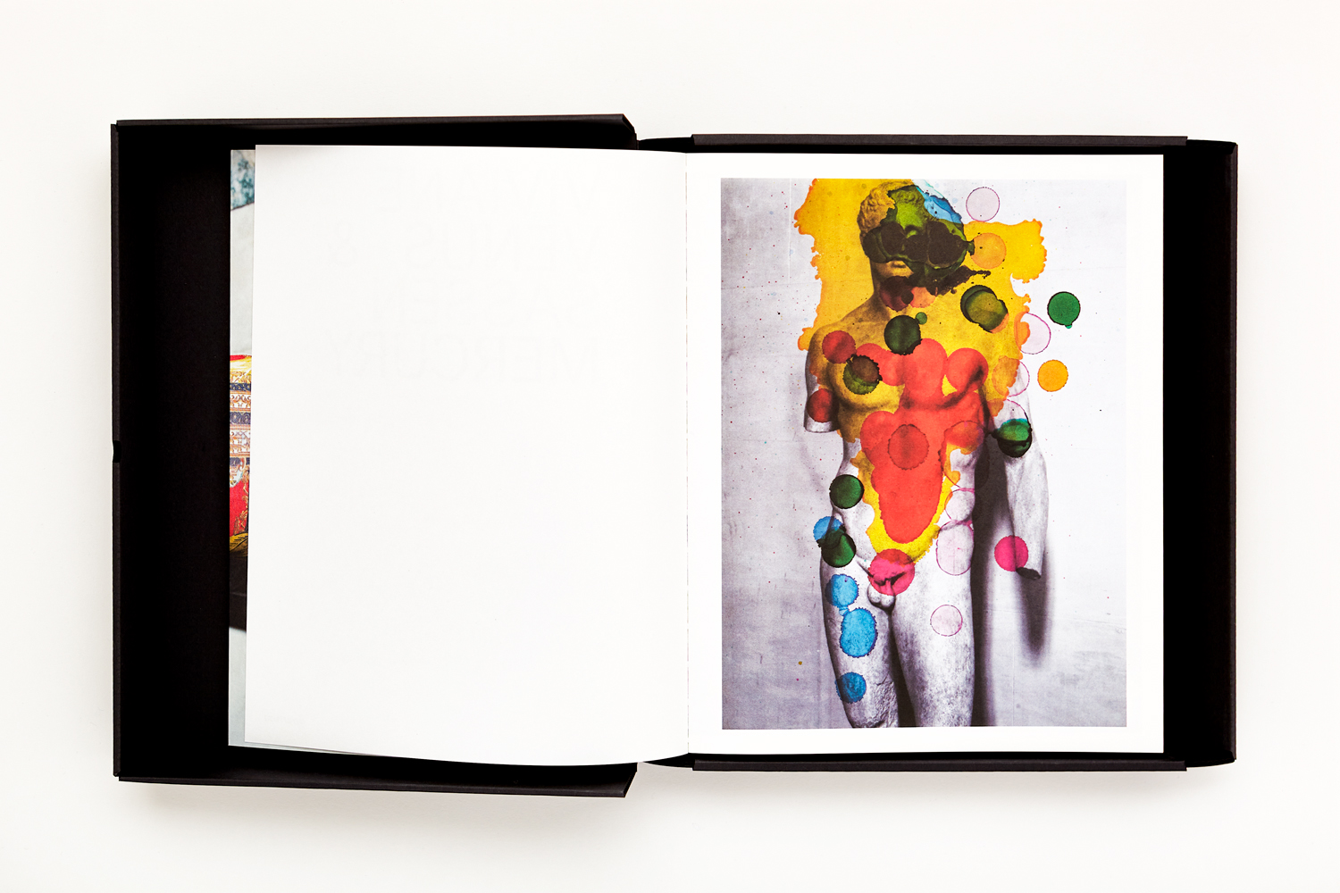 Viviane Sassen: Venus & Mercury [Book]