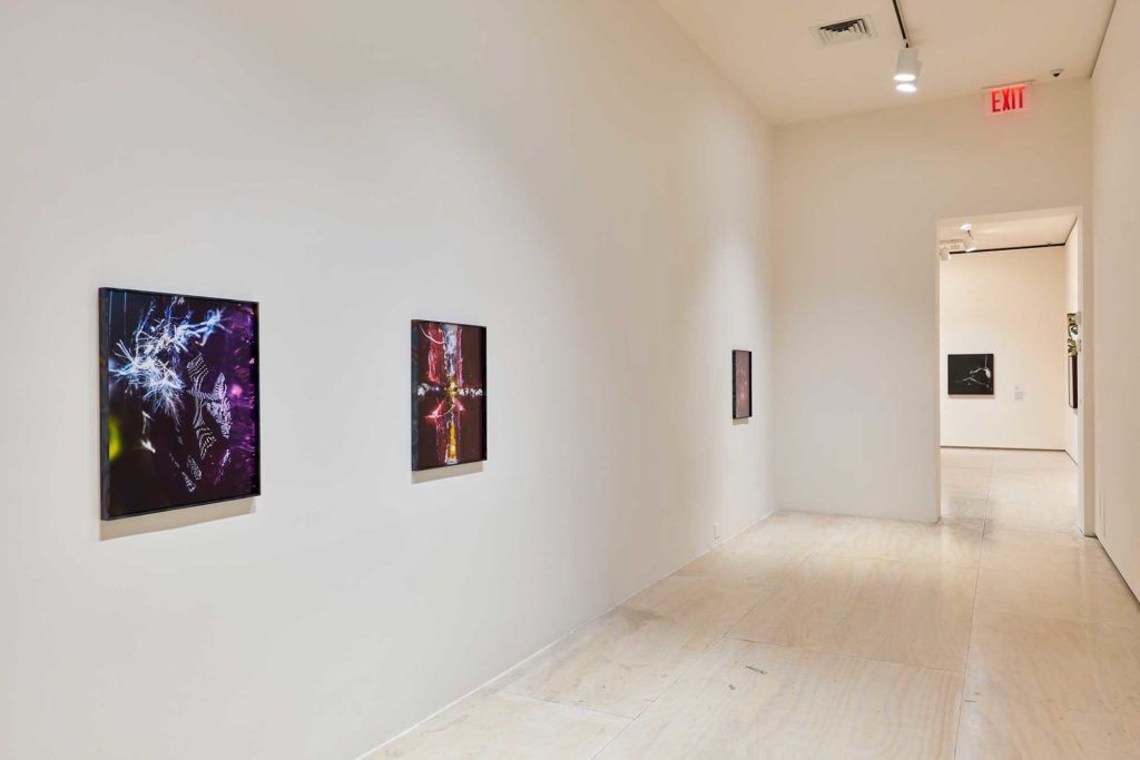 Installation view work by Diane Severin Nguyen in Greater New York 2021