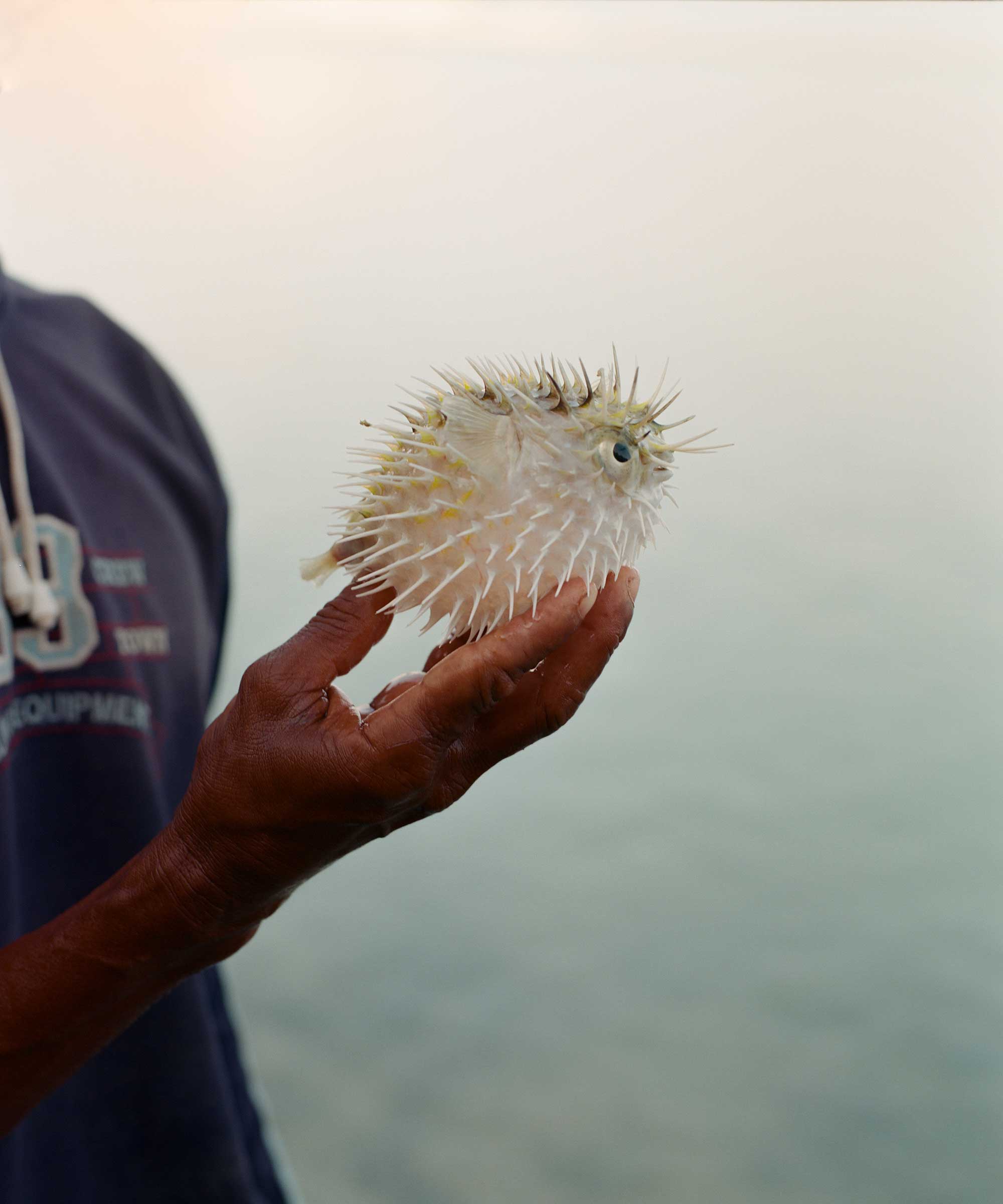 Charles Thiefaine, <em>A diodon fish in the hand of Abdullah, a fisherman from Qalansiyah</em>, Socotra, 2021″>
		</div>
		<div class=