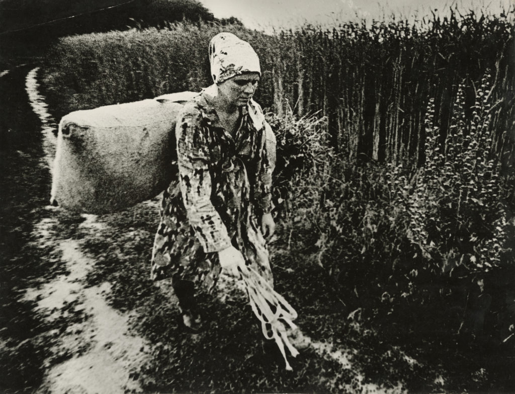 Anatoliy Makiyenko, Hard Day (In The Field), 1974