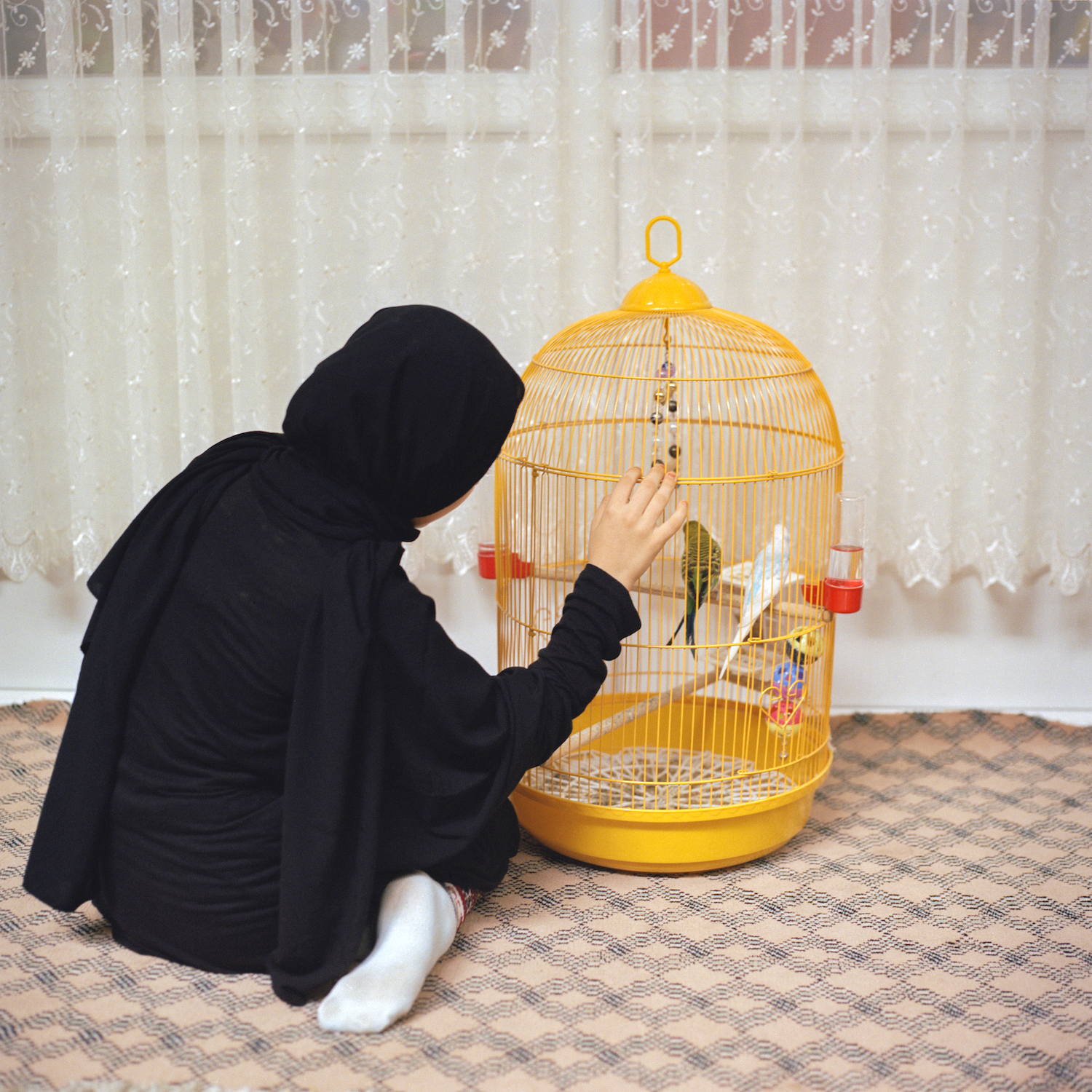 Sabiha Çimen, <em>Asya plays with pet birds in the teachers’ room</em>, Rize, 2018″>
		</div>
		<div class=