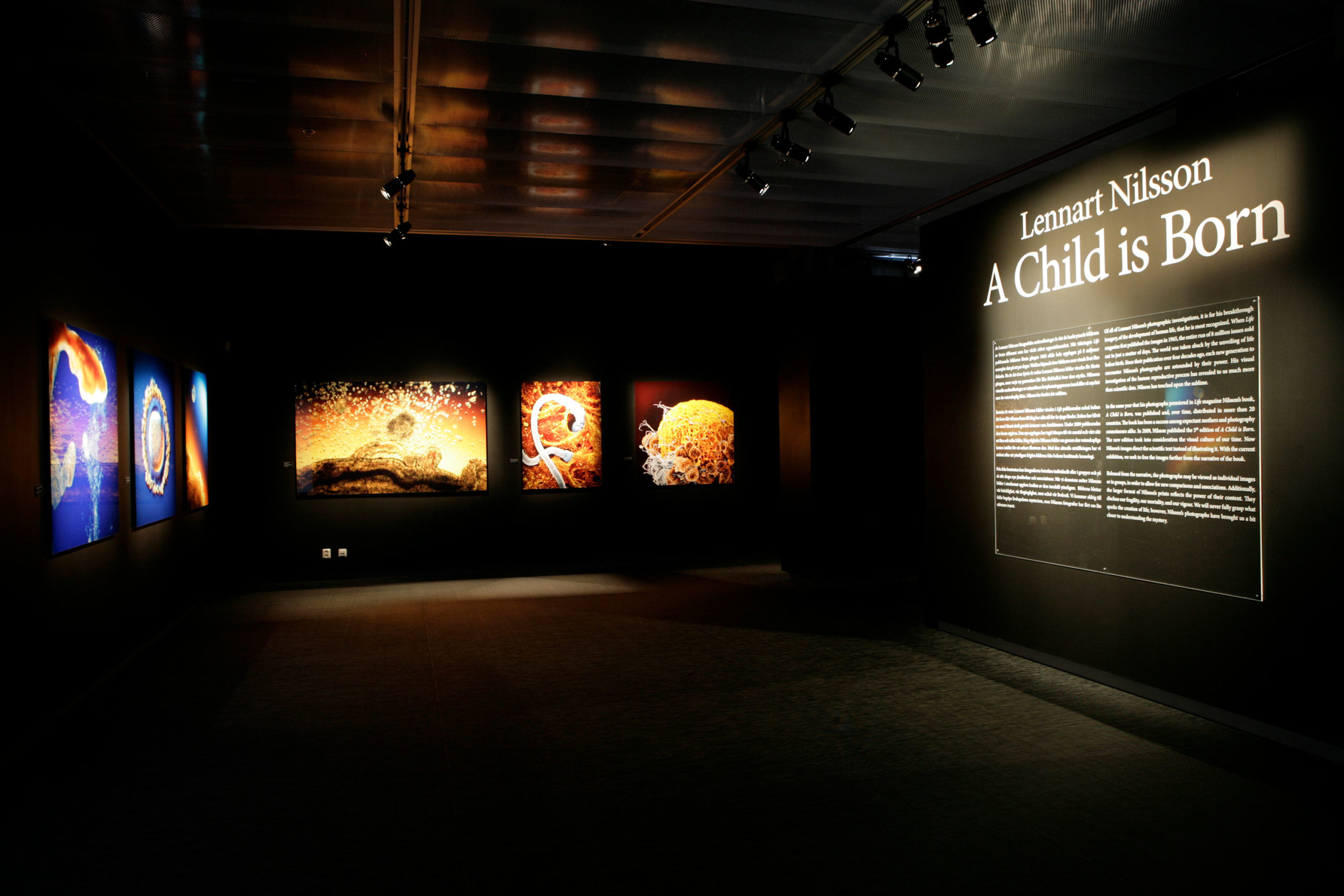 Installation views of <em>Lennart Nilsson: A Child is Born</em>, Fotografiska, Stockholm, 2010″>
		</div>
		<div class=